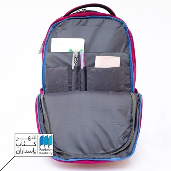 کوله پشتی دو زیپ سرخابی فابر کاستل ۰۹۱۲۶۷