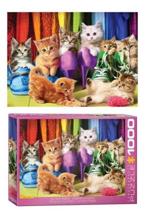 پازل kitten pride ۶۰۰۰ ۵۵۴۳  ۱۰۰۰pcs