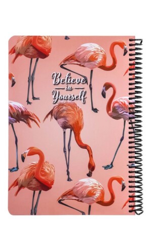 دفتر کلاسیک Flamingo Belive
