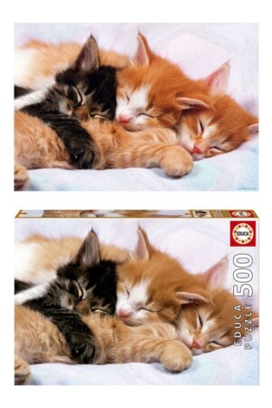 پازل kittens ۱۷۰۸۷ ۵۰۰pcs