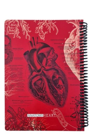 دفتر وزیری۱۰۰ برگ  Scientist Heart قرمز