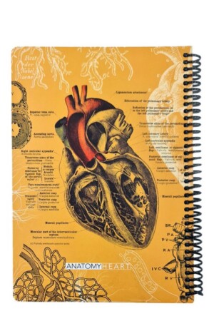 دفتر وزیری۱۰۰ برگ  Scientist Heart زرد