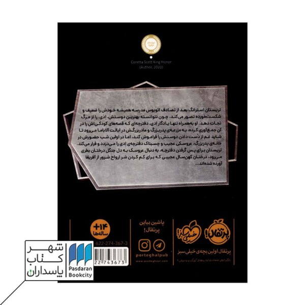 کتاب مشت های افسانه ای ۱ آتش در آسمان