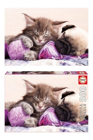 پازل Dream Companions ۱۷۶۴۴ ۵۰۰pcs