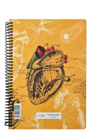 دفتر رحلی۱۰۰ برگ  Scientist Heart زرد دات نوت dotnote