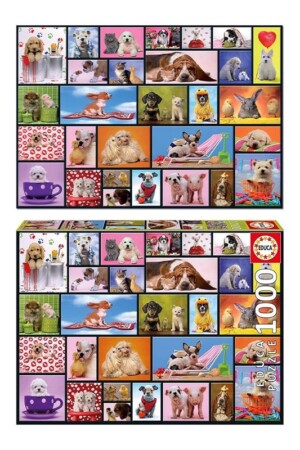 پازل Shared Moments ۱۰۰۰pcs ۱۵۵۱۸