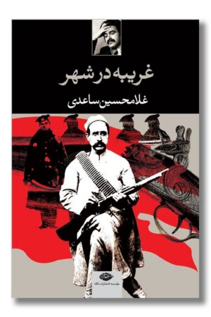 کتاب غریبه در شهر