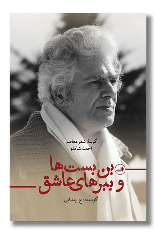 کتاب بن بست ها و ببرهای عاشق