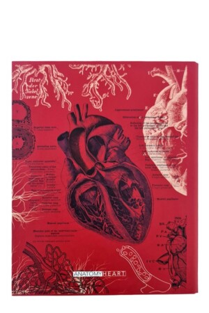 کلاسور ۲۶ حلقه B۵ Scientist Heart