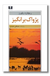 کتاب پژواک برانگیز