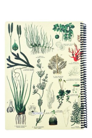 دفتر وزیری۱۰۰ برگ Scientist Plnts