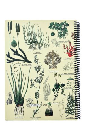 دفتر رحلی ۱۰۰ برگ Plants