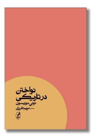 کتاب نواختن در تاریکی