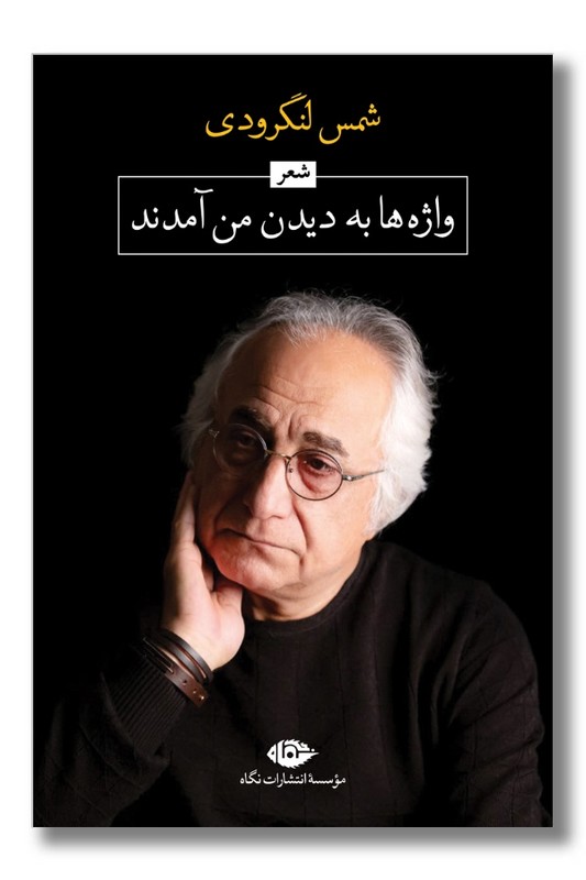 کتاب واژه ها به دیدن من آمدند