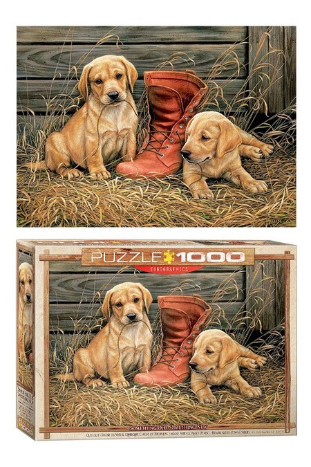 عکس پازل حیوانات، پازل خارجی