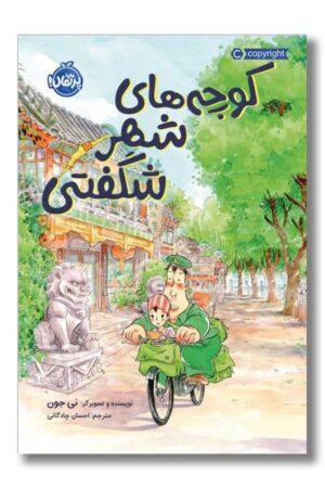 کتاب کوچه های شهر شگفتی