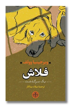 کتاب فلاش یک سرگذشت