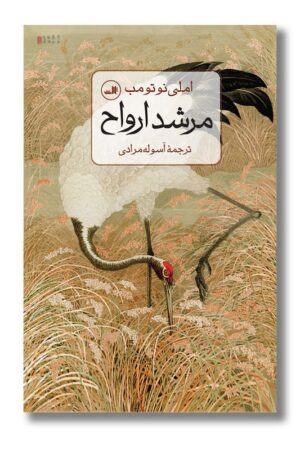 کتاب مرشد ارواح