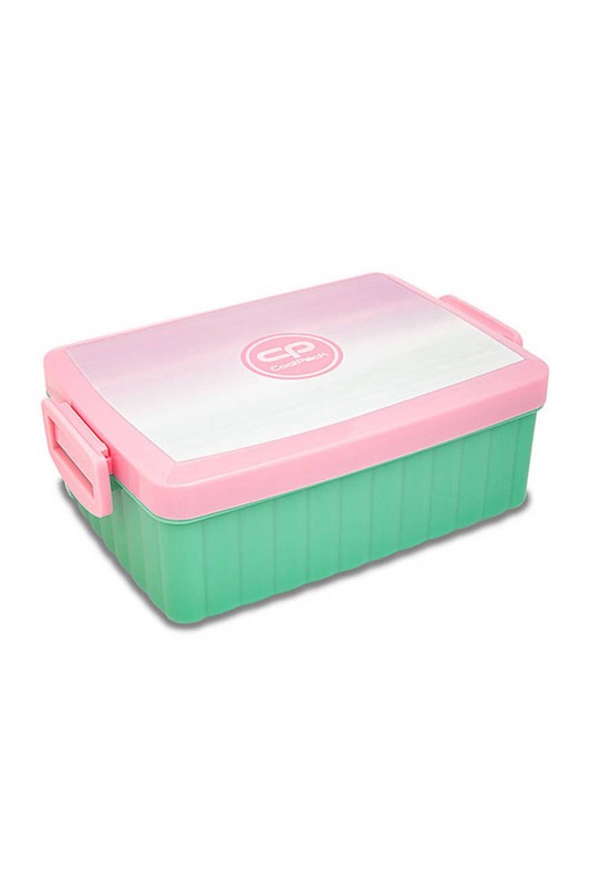 ظرف غذا Z۰۷۷۵۴ GRADIENT STRABERRY کول پک cool pack