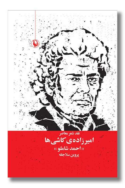 کتاب امیرزاده کاشی ها