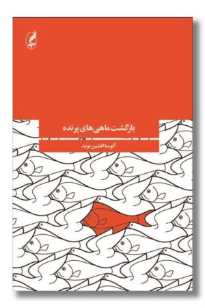 کتاب بازگشت ماهی های پرنده