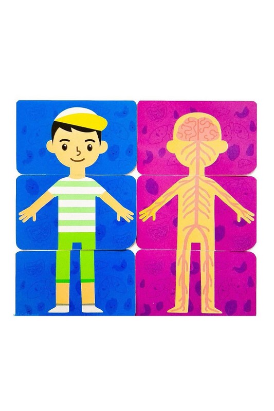 بازی کارتی من و بدنم با ۲۰ کارت