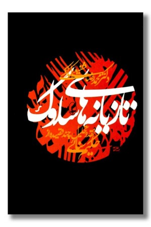 کتاب تازیانه های سلوک