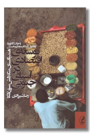 کتاب توسعه اقتصادی در آسیای جنوبی