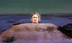 تصویری از اجرای نمایشنامه روزهای خوشhappy days samuel beckett