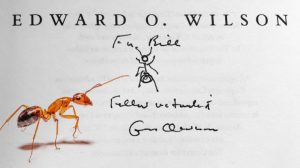 کتاب نیمه زمین