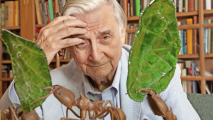 تصویر ادوارد ویلسون نویسنده کتاب نیمه زمینE. O. Wilson