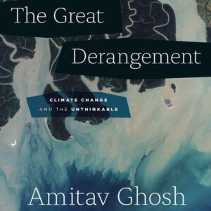 تصویر کتاب جنون بزرگ نوشته آمیتاو گوش