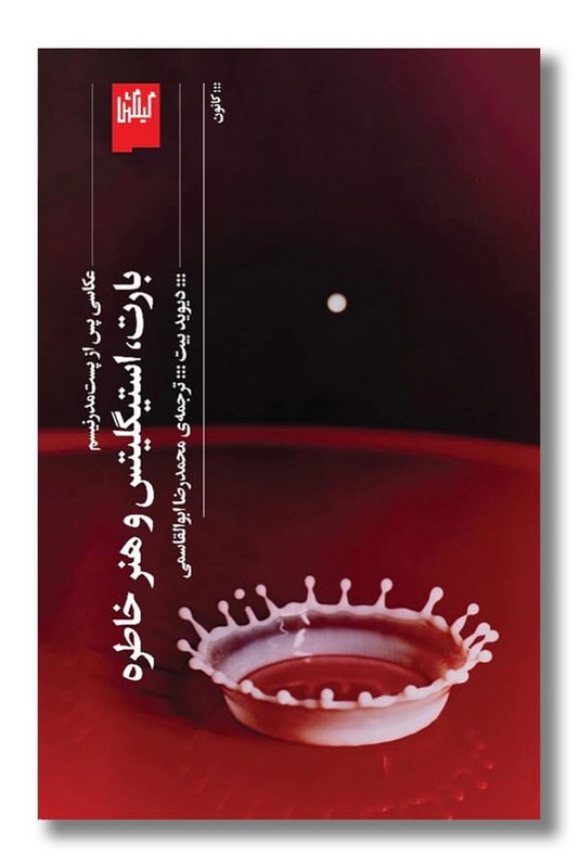 کتاب بارت استیگلیتس و هنر خاطره