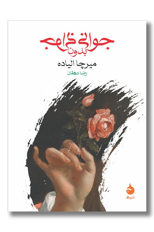 کتاب جوانی بدون جوانی