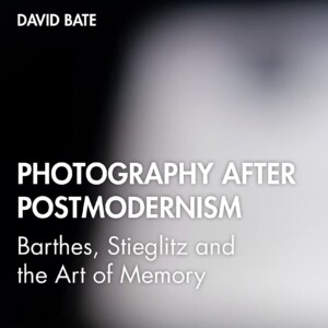 تصویر کتاب بارت استیگلیتس و هنر خاطره: عکاسی پس از پست مدرنیسم