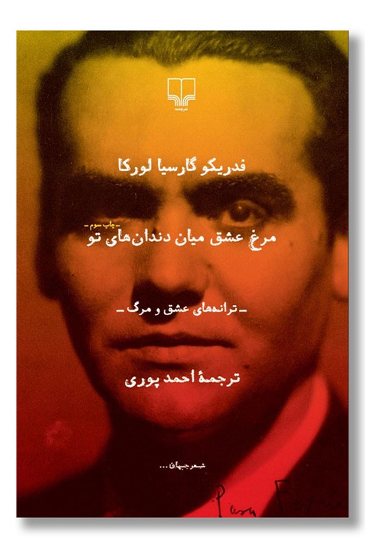 کتاب مرغ عشق میان دندان های تو