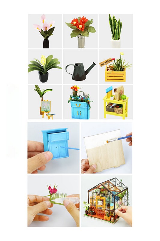 گل خانه کتی dg۱۰۴