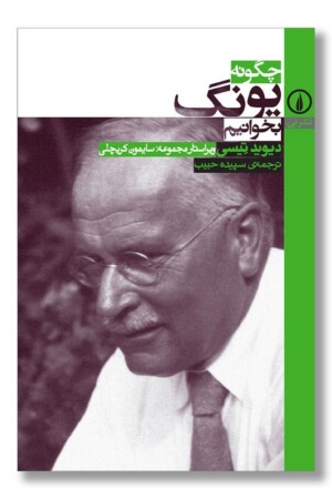 کتاب چگونه یونگ بخوانیم