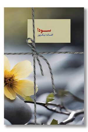 کتاب سودا