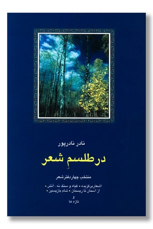 کتاب در طلسم شعر