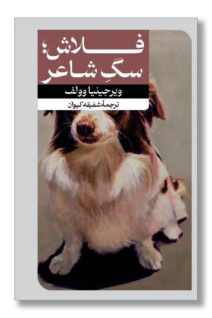 کتاب فلاش سگ شاعر