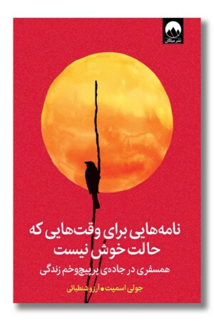 کتاب نامه هایی برای وقت هایی که حالت خوش نیست