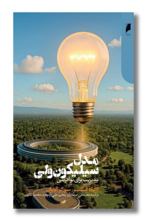 کتاب مدل سیلیکون ولی