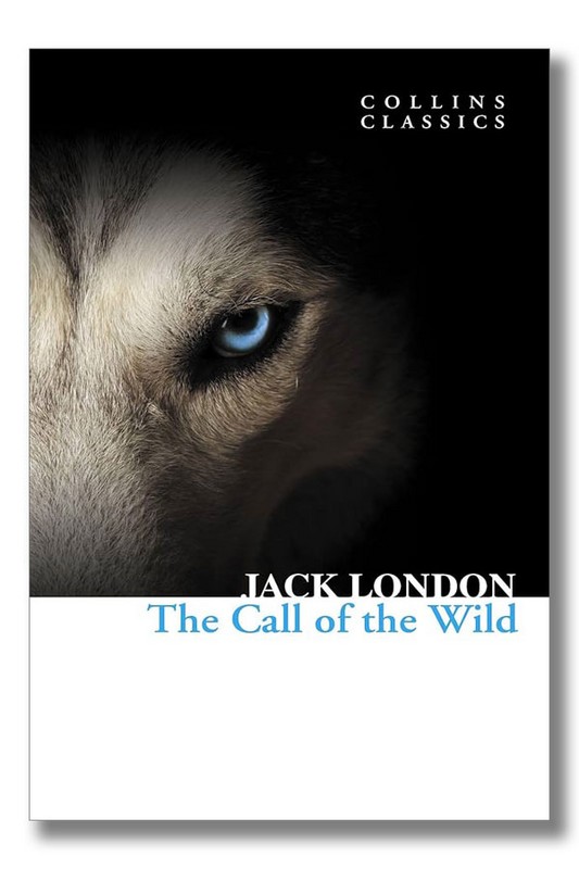 the call of the wind کتاب آوای وحش