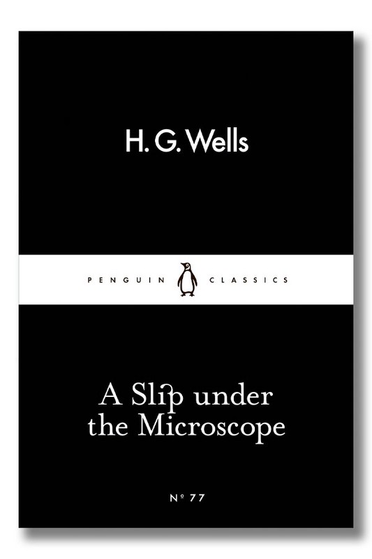 A sleep under the microscope