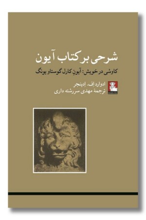 کتاب شرحی بر کتاب آیون