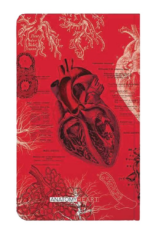 دفتر ساینتیست خطی اروپایی anatomy heart