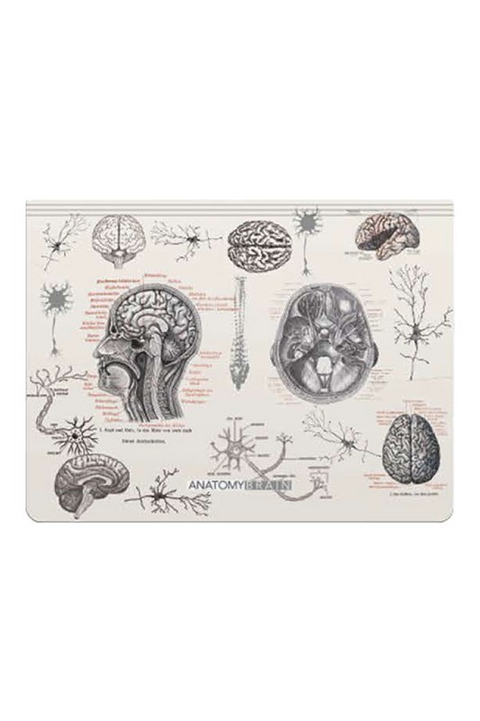 فولدر سری ساینتیست