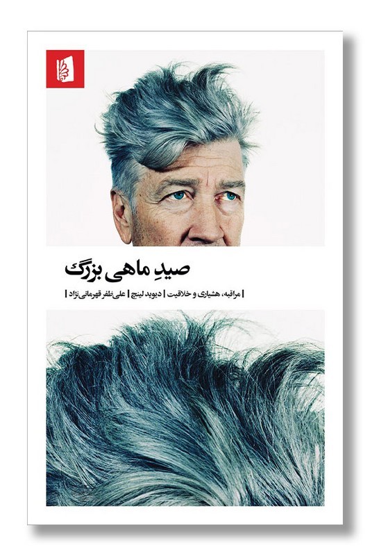 کتاب صید ماهی بزرگ