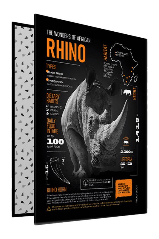 کلاسور ۴ حلقه ۱۰۰ برگ آفریقا پیل